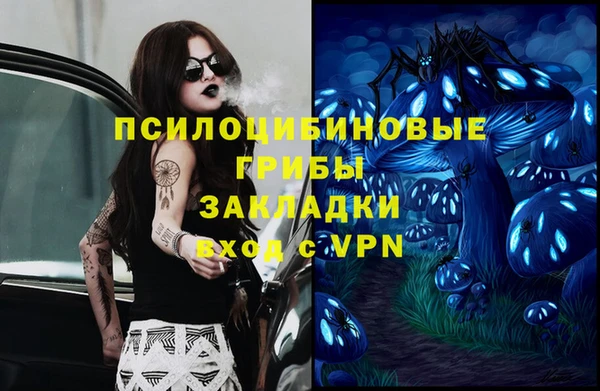 прущие грибы Нязепетровск