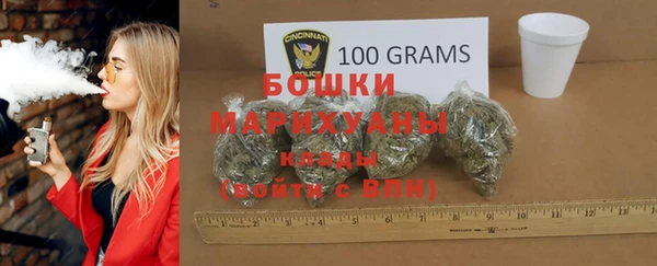 прущие грибы Нязепетровск