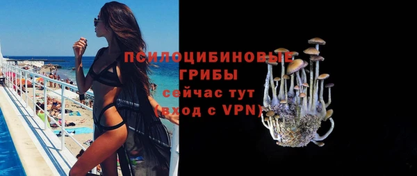 МДПВ Нягань