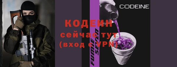 гашик Бикин