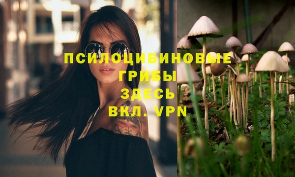 МДПВ Нягань