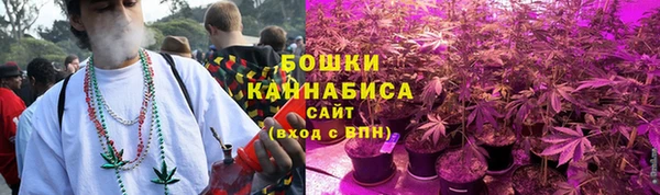 прущие грибы Нязепетровск