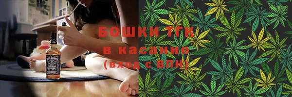 мет Няндома
