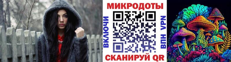 kraken   Шахты  Псилоцибиновые грибы Psilocybe 